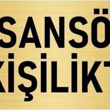 Özarslan Dizayn Departman Kapı İsimliği Asansör 6 Kişiliktir 5x20 cm Altın Renk Metal Yönlendirme Levhası