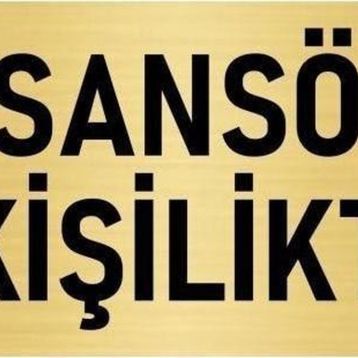 Özarslan Dizayn Departman Kapı İsimliği Asansör 8 Kişiliktir 7x20 cm Altın Renk Metal Yönlendirme Levhası