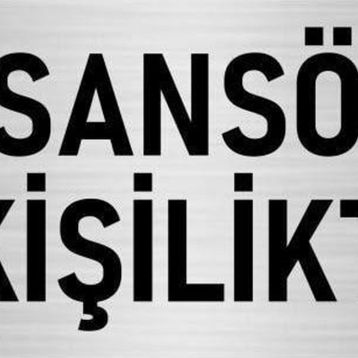 Özarslan Dizayn Departman Kapı İsimliği Asansör 8 Kişiliktir 7x20 cm Gümüş Renk Metal Yönlendirme Levhası