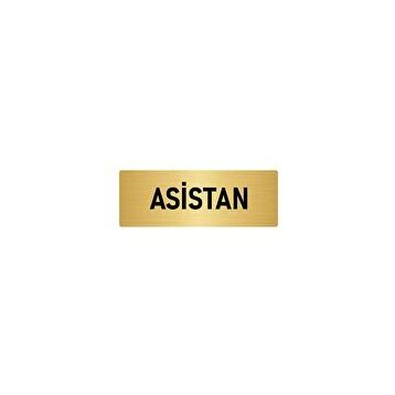 Özarslan Dizayn Departman Kapı İsimliği Asistan 10x20 cm Altın Renk Metal Yönlendirme Levhası