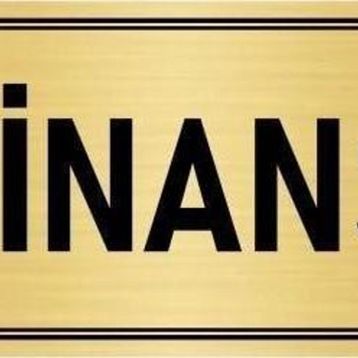 Özarslan Dizayn Departman Kapı İsimliği Finans 10x20 cm Altın Renk Metal Yönlendirme Levhası