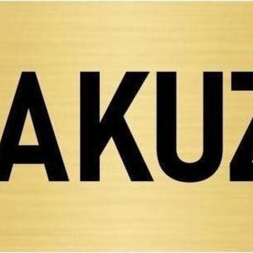 Özarslan Dizayn Departman Kapı İsimliği Jakuzi 5x20 cm Altın Renk Metal Yönlendirme Levhası