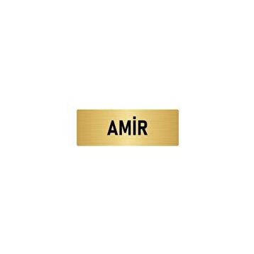 Özarslan Dizayn Departman Kapı İsimliği Nöbetçi Amir 5x20 cm Altın Renk Metal Yönlendirme Levhası