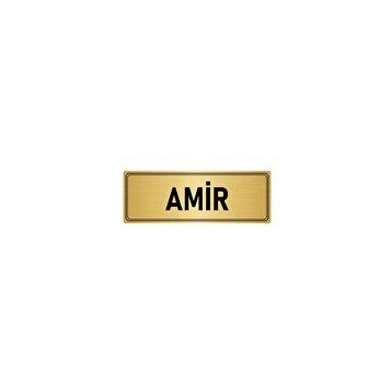 Özarslan Dizayn Departman Kapı İsimliği Nöbetçi Amir 5x20 cm Altın Renk Metal Yönlendirme Levhası