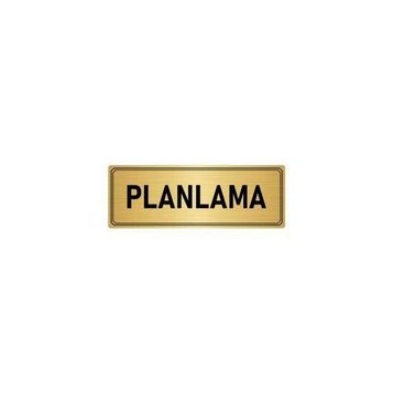 Özarslan Dizayn Departman Kapı İsimliği Planlama 5x20 cm Altın Renk Metal Yönlendirme Levhası