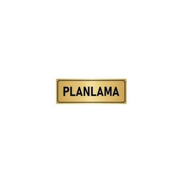 Özarslan Dizayn Departman Kapı İsimliği Planlama 7x20 cm Altın Renk Metal Yönlendirme Levhası