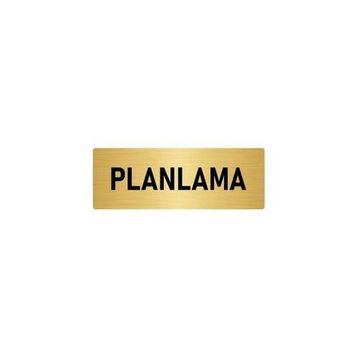 Özarslan Dizayn Departman Kapı İsimliği Planlama 7x20 cm Altın Renk Metal Yönlendirme Levhası