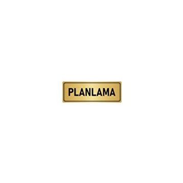 Özarslan Dizayn Departman Kapı İsimliği Planlama 7x20 cm Altın Renk Metal Yönlendirme Levhası