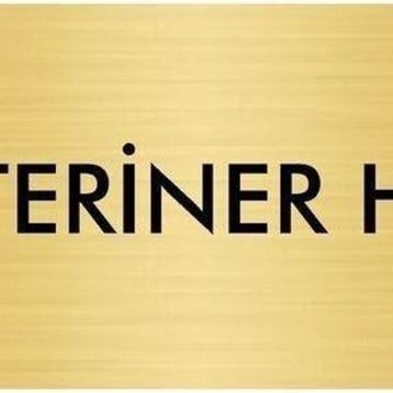 Özarslan Dizayn Departman Kapı İsimliği Veteriner Hekim 5x20 cm Altın Renk Metal Yönlendirme Levhası