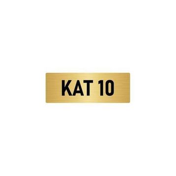 Özarslan Dizayn Departman Kapı İsimliği Zemin Kat 10x20 cm Altın Renk Metal Yönlendirme Levhası