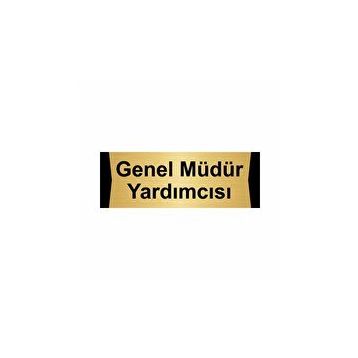 Özarslan Dizayn Genel Müdür Yardımcısı 10x20 cm Altın Renk Metal Yönlendirme Levhası