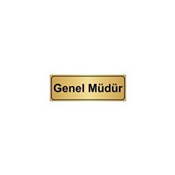 Özarslan Dizayn Genel Müdür Yardımcısı 10x20 cm Altın Renk Metal Yönlendirme Levhası