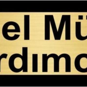 Özarslan Dizayn Genel Müdür Yardımcısı 10x20 cm Altın Renk Metal Yönlendirme Levhası