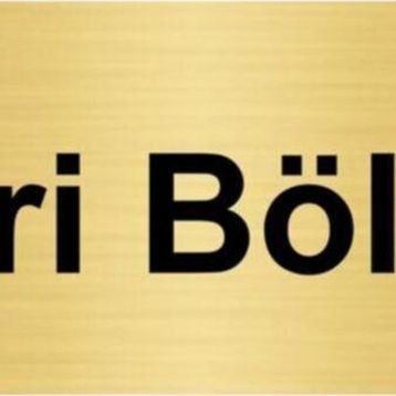 Özarslan Dizayn İdari Bölüm 5x20 cm Altın Renk Metal Yönlendirme Levhası
