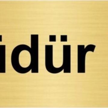 Özarslan Dizayn Müdür Yrd 10x20 cm Altın Renk Metal Yönlendirme Levhası