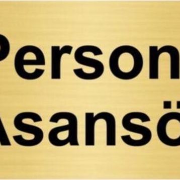 Özarslan Dizayn Personel Asansörü 7x20 cm Altın Renk Metal Yönlendirme Levhası