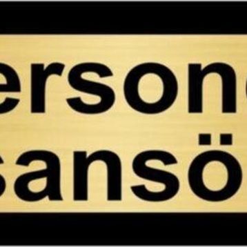 Özarslan Dizayn Personel Asansörü 7x20 cm Altın Renk Metal Yönlendirme Levhası