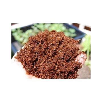 Özel Karışım Kaktüs Sukkulent Toprağı (2 litre)