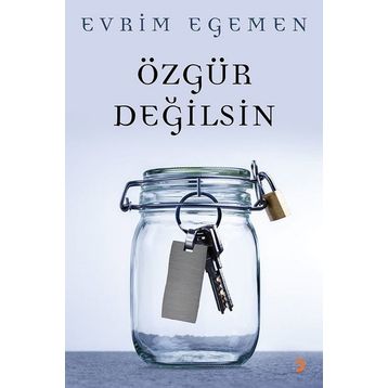 Özgür Değilsin - Evrim Egemen