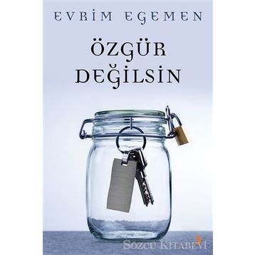 Özgür Değilsin - Evrim Egemen