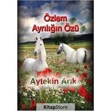 Özlem Ayrılığın Özü - Aytekin Arık