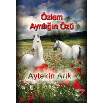 Özlem Ayrılığın Özü - Aytekin Arık