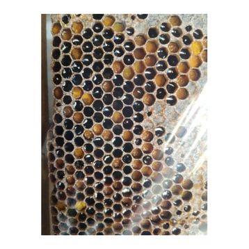 Ozmuş Bal 1 kg Sivas Dan Ham Polen