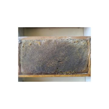 Ozmuş Bal 3,1 kg Kekik Petek Çıta Bal