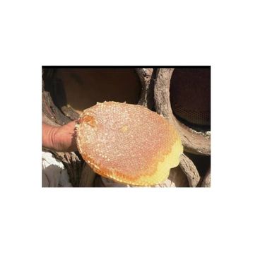 Ozmuş Bal 500 gr Sivas Denemelik Kara Kovan Bal