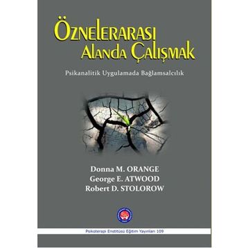 Öznelerarası Alanda Çalışmak - Donna M. Orange George E. Atwood Robert D. Stolorow