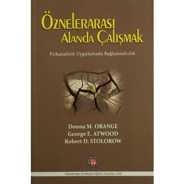 Öznelerarası Alanda Çalışmak - Donna M. Orange George E. Atwood Robert D. Stolorow