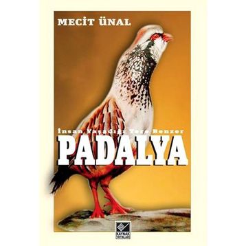 PADALYA İNSAN YAŞADIĞI YERE BENZER - MECIT ÜNAL
