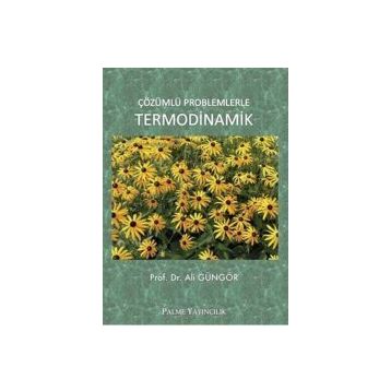 Palme Yayınları Çözümlü Problemlerle Termodinamik