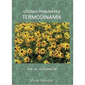Palme Yayınları Çözümlü Problemlerle Termodinamik