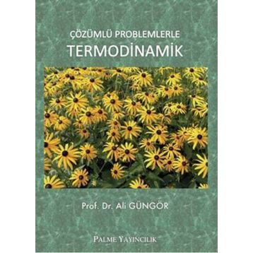 Palme Yayınları Çözümlü Problemlerle Termodinamik