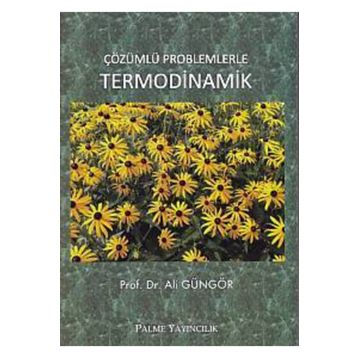 Palme Yayınları Çözümlü Problemlerle Termodinamik