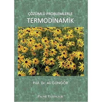 Palme Yayınları Çözümlü Problemlerle Termodinamik