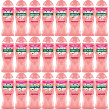 Palmolive Aroma Sensations Aroma Duyguları 24x750 ml Banyo ve Duş Jeli