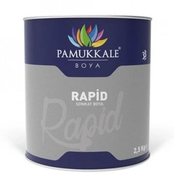 Pamukkale 1402 60-70 Gloss 2.5 kg Beyaz Ral 9016 Rapid Endüstriyel Boya