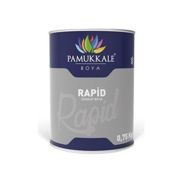 Pamukkale Rapid Beyaz 0.75 kg Endüstriyel Boya