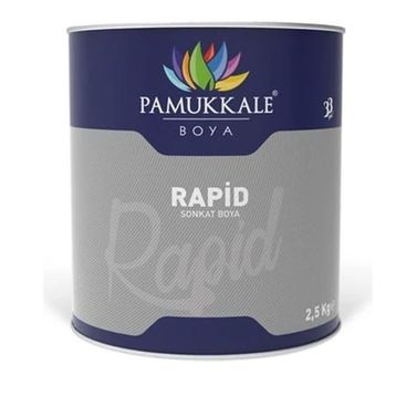 Pamukkale Rapid Ral 9006 Metalik Gri 2.5 kg Metal Yüzey Boyası