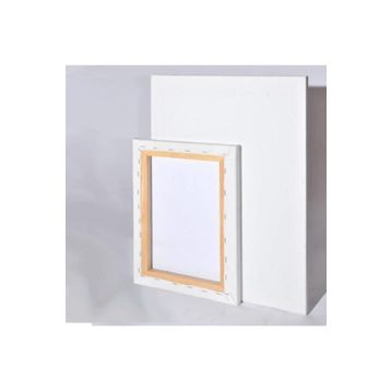Panda Profesyonel 25x35 Tuval