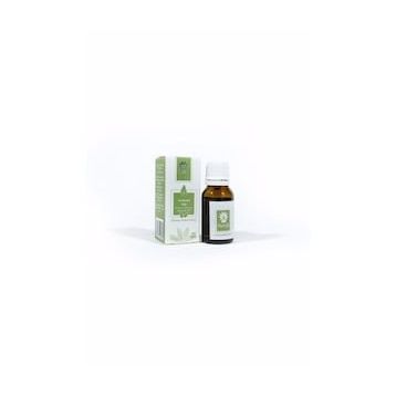 Panlife 15 ml Avakado Yağı
