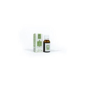 Panlife 15 ml Avakado Yağı