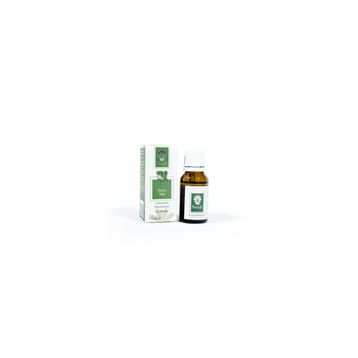 Panlife 15 ml Elemi Yağı