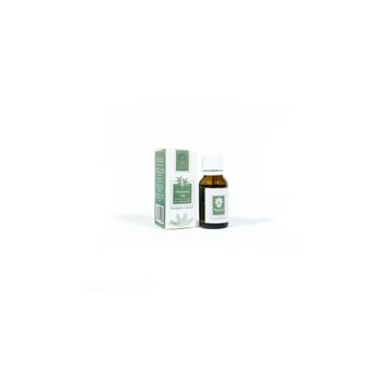 Panlife 15 ml Okaliptus Yağı