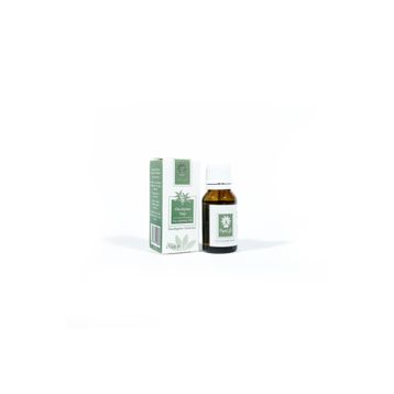 Panlife 15 ml Okaliptus Yağı