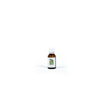Panlife 15 ml Selvi Yağı