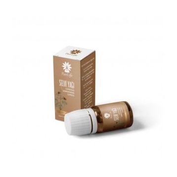 Panlife 15 ml Selvi Yağı