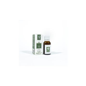 Panlife 15 ml Vetiver Yağı